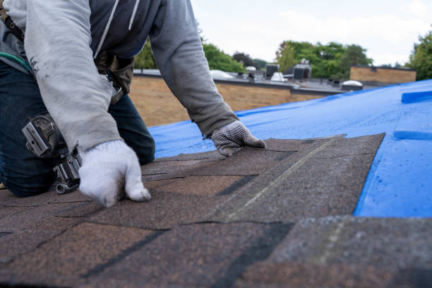 Best Local Roofing Companies  in Richland, GA